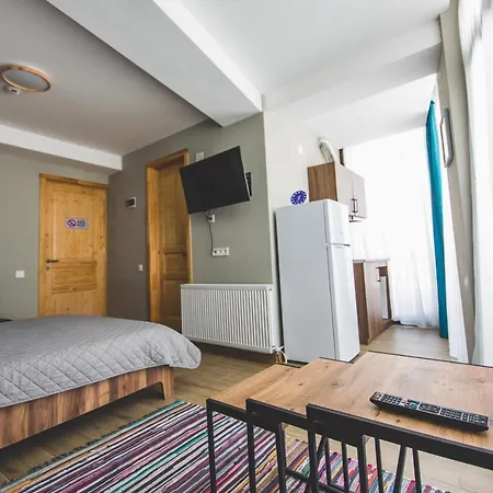 Perfect Studio Near Didveli Ski Area Bakuriani Exterior photo