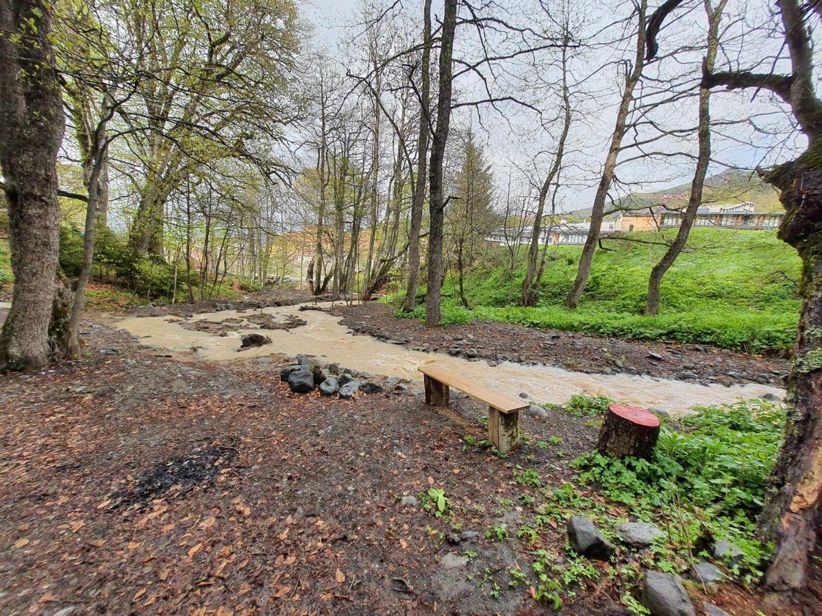 Perfect Near Didveli Area *